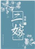 二嫁夫无边客