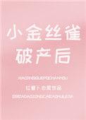 小金丝雀破产后全文阅读