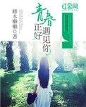 青春正好 电视剧
