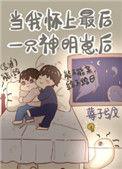 当我怀了最后一只神明崽后书评