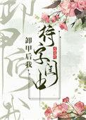 卸甲后我待字闺中百度