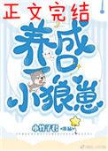 养了一只小狼崽晋江文学城