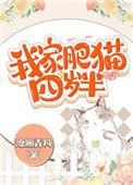 我家肥猫四岁半全文