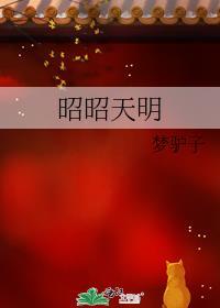 昭昭天明番外txt链接