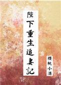 陛下重生追妻记txt