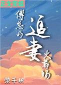 傅总的追妻丧火场