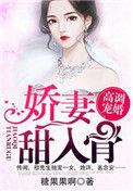 穆先生宠妻新高度