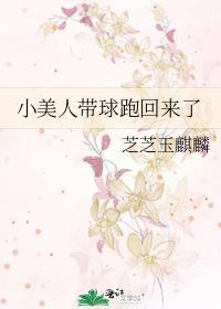 小美人带球跑回来了番外免费阅读全文