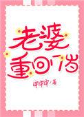 老婆重回十七