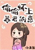偷偷怀上暴君的崽by小文旦