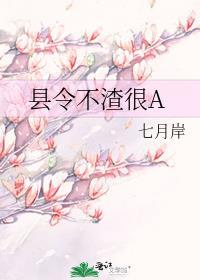 县令不渣很a笔趣阁