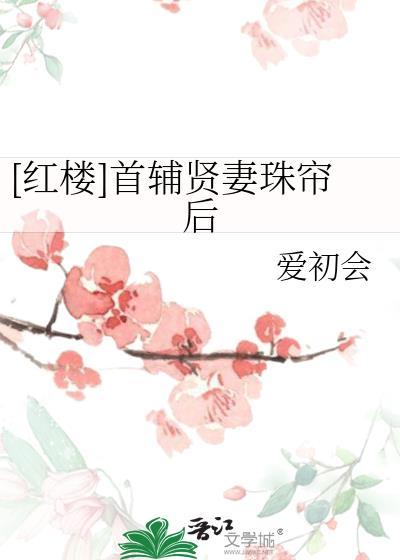红楼首辅贤妻珠帘后txt