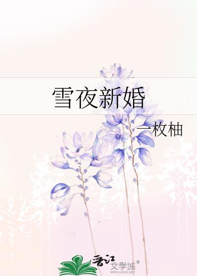 雪夜新婚番外txt