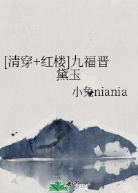 清穿红楼之九福晋