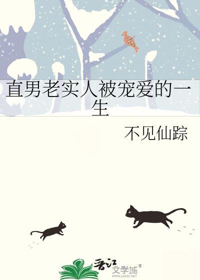 直男老实人被宠爱的一生讲的什么