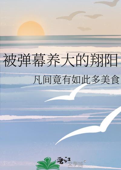 弹幕养大的翔阳TXT最新章节