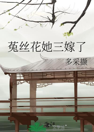菟丝花她三嫁了笔趣阁