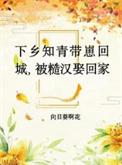 下乡知青当军嫂的年代文