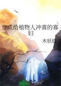 穿成植物人大佬的冲喜小娇妻by公子
