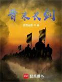 晋末长剑顶点