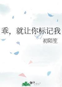 盛宠 贡茶