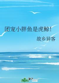 团宠小胖鱼是虎鲸! 故乡异客