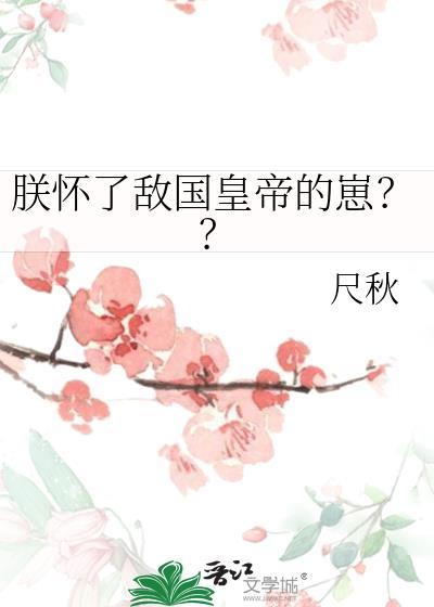 朕怀了敌国质子的孩子