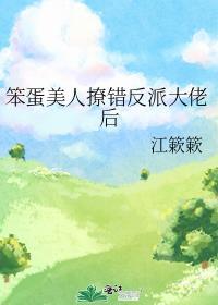 笨蛋美人的错误攻略第二章