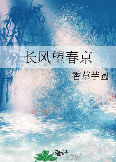 长风望春京txt百度