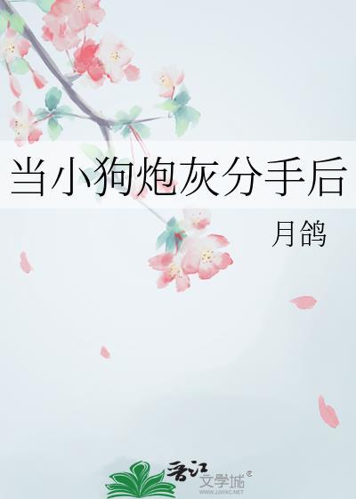 当小奶狗决定和渣受分手后作者林石