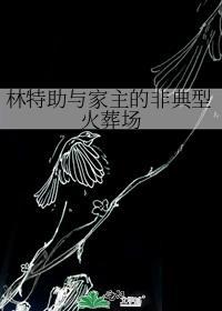 林特助与家主的非典型火葬场 txt