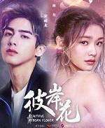 彼岸花图片