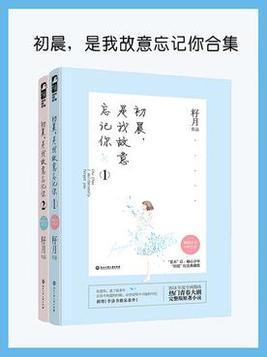 是我故意忘记你 电视剧