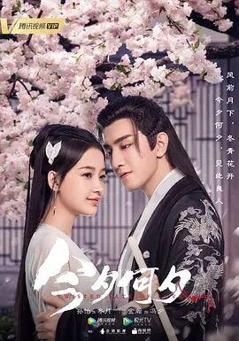 今夕何夕在线观看