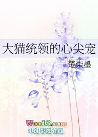 大猫统领的心尖宠作者楚柒墨