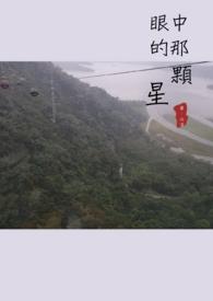 眼中星简介