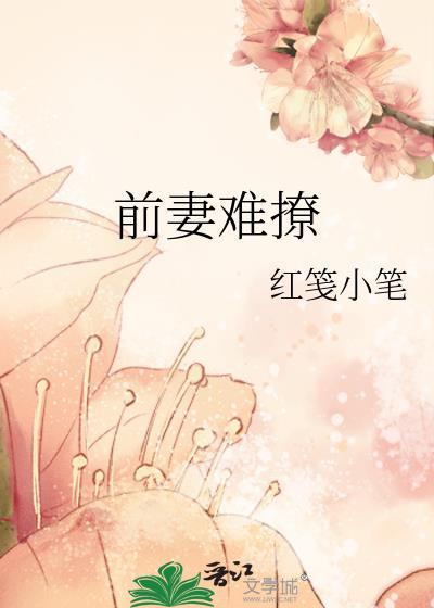 前妻难撩红笺txt