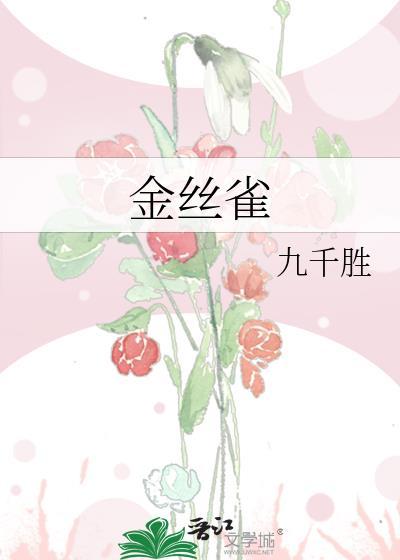 金丝雀吃什么食物