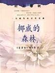 挪威的森林歌词完整版