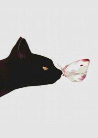 人间好时节阅读理解答案