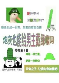 还有巜炮灰男配的攻略