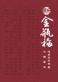 新金瓶梅连续局