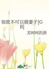 宿敌不可以做妻子TXT百度