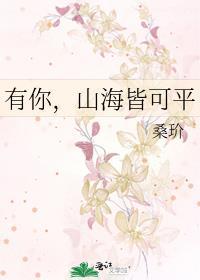 山海皆可平讲的什么