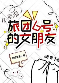 全职猎人幻影旅团篇第几集