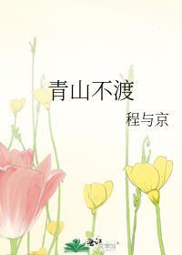 青山不渡txt百度