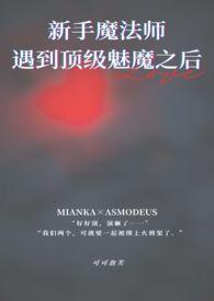 新手魔法师遇到顶级魅魔之后