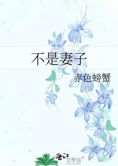 不是妻子宁玉谭以蘅