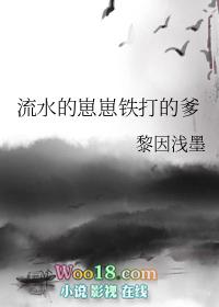 流水的崽崽铁打的爹txt百度
