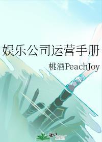 娱乐公司运营手册TXT